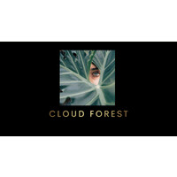 Cloud Forest Care logo - Similar company to Islay Power