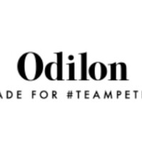 Odilon International logo - Similar company to Asteroid Pte. Ltd.