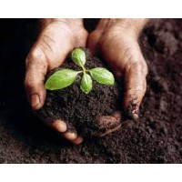 Sunshine Organics & Compost logo - Similar company to Bioxtend Inc.