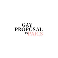GAY PROPOSAL IN PARIS logo - Similar company to Feather Games