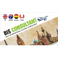 BIS Consultant logo - Similar company to Bis Consultants
