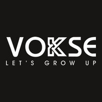 Vokse_co logo - Similar company to Basa Diseño Sas