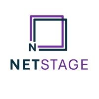 NetStage IT Consulting logo - Similar company to Rasec Tech It Services