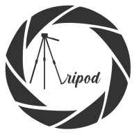 Tripod IIM Kozhikode logo - Similar company to Backwaters - Annual Business Summit Of Iim Kozhikode