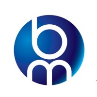 Beyond Measure Group logo - Similar company to Continuity Business Solutions