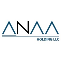ANAA HOLDING logo - Similar company to Savvy Technology Solutions Llc