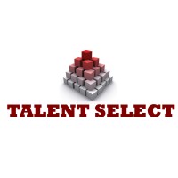 Talent Select logo - Similar company to Talent Select