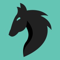 Ludi Inc logo - Similar company to Ludi, Inc. - Provider Compensation Management