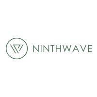 9th Wave logo - Similar company to Baobab.Co