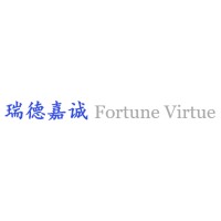 Fortune Virtue Capital logo - Similar company to 分享投资