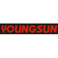 Youngsun logo - Similar company to Johsean Machinery Blow Molding Machine （Jiansheng）
