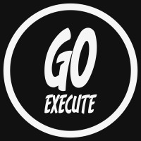 Go Execute logo - Similar company to Go Executive