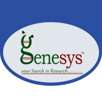Genesys  | Research & Development logo - Similar company to Black Straipz