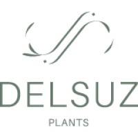 Delsuzplants logo - Similar company to Financivo