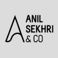 Anil Sekhri and Company logo - Similar company to Amit Ray & Co; Chartered Accountants