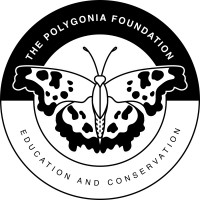 The Polygonia Foundation logo - Similar company to Heximer Investment Management, Inc.