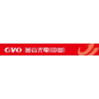 GVO (Visionox )
