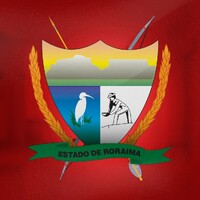 Governo de Roraima logo - Similar company to Caer