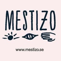 Mestizo.se logo - Similar company to Redu Studios