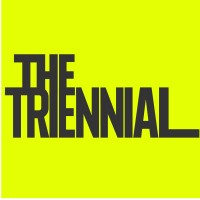 Boston Public Art Triennial logo - Similar company to Asklabs
