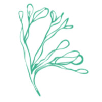 Salish Sea Greens