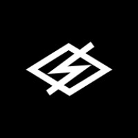 DS Electronics logo - Similar company to Goblin Systems