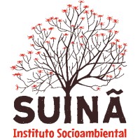 Instituto Suinã logo - Similar company to Forest Creations