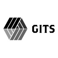 Global IT Service LLC logo - Similar company to Docommerce