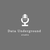 Data Underground Studio logo - Similar company to Silvernox Tech Ventures