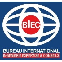 BUREAU INTERNATIONAL INGENIERIE EXPERTISE & CONSEILS logo - Similar company to Dkp-Holding