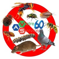 A Votre Service 60 logo - Similar company to Light Horizon