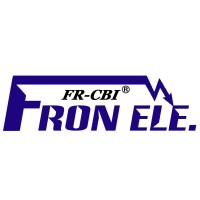 YUEQING FRON ELECTRIC CO.,LTD logo - Similar company to Stan Electrical Equipment