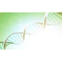 Dna Management Solutions Ltd