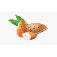 Anukul Agrotech Private Ltd. logo - Similar company to Dexus One