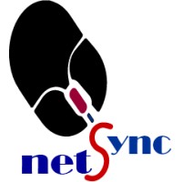 Netsync Computer Solutions logo - Similar company to Label Kamra