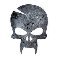 Metalovision logo - Similar company to Patronus