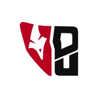 Digital Universe logo - Similar company to Mau-Mau Team
