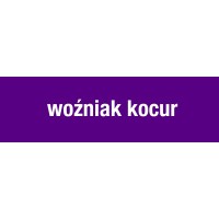 Wozniak Kocur Sp.J.