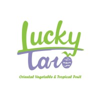 Lucky Taro Inc logo - Similar company to Vision Global Group