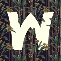 Wild Palace logo - Similar company to Rayssa Guaris