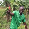 Mkulima Exports Uganda Ltd logo - Similar company to Discovery Group Ug