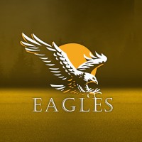 Eagles Car logo - Similar company to Eagles Care