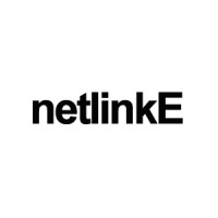 netlinkE - SEO Company In Nigeria logo - Similar company to Parallel Pi Solutions