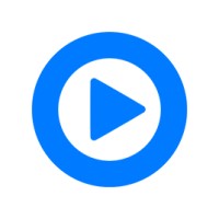 Playful Studios logo - Similar company to Ensemble Studios