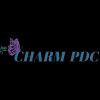 CHARM Professional Development & Consulting (CHARM PDC) logo - Similar company to Ally Rocks Fund