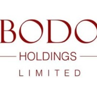 Bodo Holdings ltd - Plaza 2000 logo - Similar company to N/A