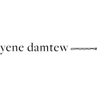 Yene Damtew LLC logo
