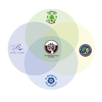 THE WESTBROOK TRUST