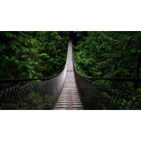 kicsit logo - Similar company to University Hub Pakistan