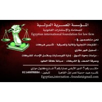 Egyptian international foundation for law firm logo - Similar company to Egyptian International Firm